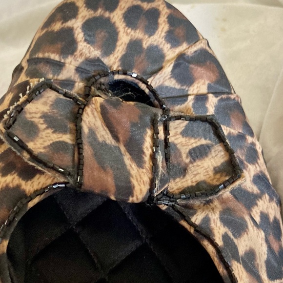 Beverly Feldman Kitten healed Slides - Picture 5 of 5